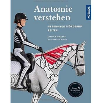 Anatomie verstehen