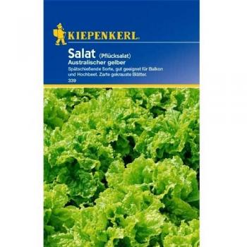 Pflücksalat Australische Gele Samen