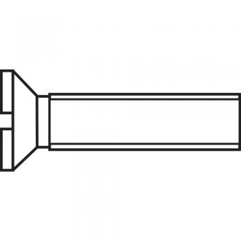 TOOLCRAFT Verzinkte Senkschrauben M5 16 mm