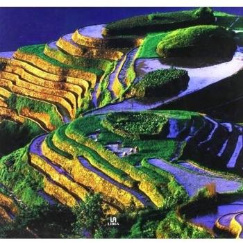 China.el reino del dragon