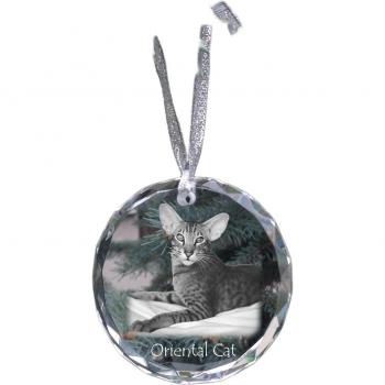 Transparentes Katzenfoto in Kristall – Art‑Dog Edition