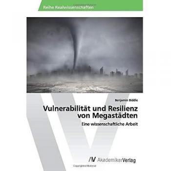 Vulnerabilität und Resilienz von Megastädten: Eine wissenschaftliche Arbeit