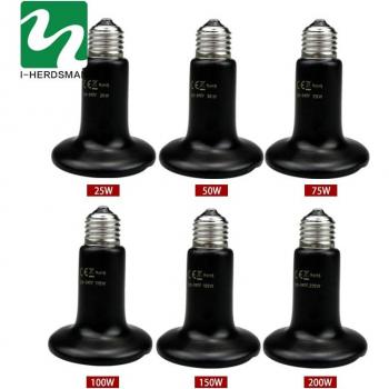 Chauffe‑Tortues Sérpents Lézards Lampes 4 pièces