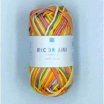 Pelote de Coton RICORUMI PRINT 25g Multicolore