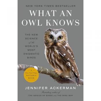 What an Owl Knows