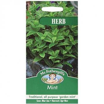 Mr. Fothergill's Spearmint Seeds