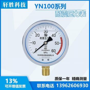 YN100 60MPa Pressure Gauge