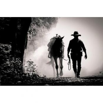 Pferd im Wilden Westen – Fototapete in Schwarz-Weiß (Papermoon)