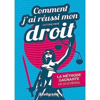 Comment j'ai réussi mon droit: La méthode gagnante en 50 schémas