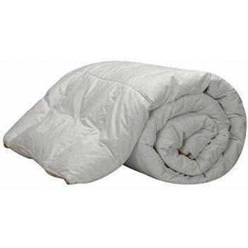 Couette anti-acariens en duvet d'oie 98% 200g