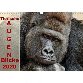 Tierische Augen-Blicke 2020
