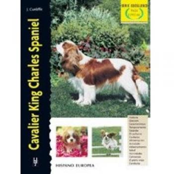Cavalier King Charles Spaniel (Excellence-Raza Especial)
