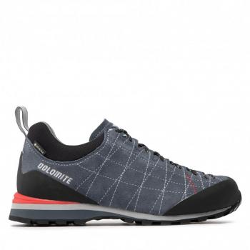 Zapatillas Montaña Dolomite GTX Diagonal Hombre – Alta Comodidad