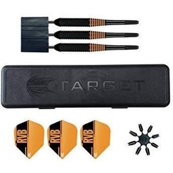 Target Raymond Van Barnevold 22g Darts
