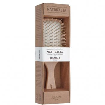 SPAZZOLA RETTANGOLARE IN LEGNO CON SCATOLA NATURALIA