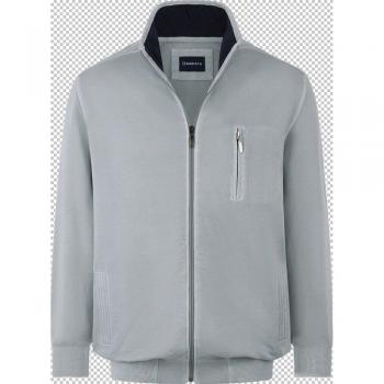 Grijs Heren Sweatvest BENIPARI