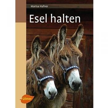Esel halten
