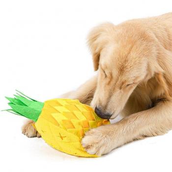 Fleece Dog Sniffing Toy