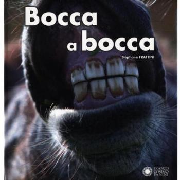 Bocca a bocca. Ediz. illustrata