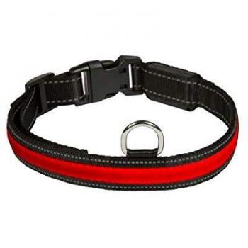 Collare RGB Eyenimal con Luce USB – Taglia S, 70 g