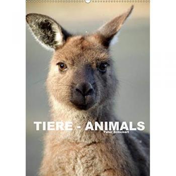 Tiere