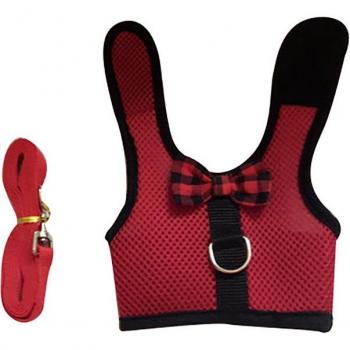 Kit Harnais & Laisse Compact – Hamster, Lapin, Cochon d’Inde, Chinchilla