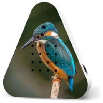 Relaxound Lakesidebox – Beweginssensor met Bosmeerklanken – Oplaadbaar – Kingfisher – IJsvogel – 2,8x11x18cm