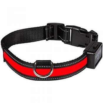 Eyenimal XL Red USB Illuminated Dog Collar