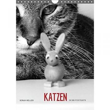 Sonja Heller Katzen in SW-Portraits