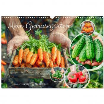 Mein Gemüsegarten