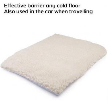 Matériau Réchauffant 2020Pet – Tapis Extérieur Imperméable pour Animaux