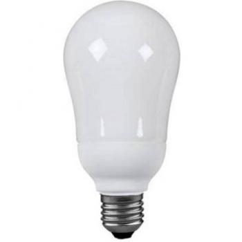 BrightEco 20W Warm Glow LED