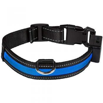Collar luminoso con USB para perros color Azul