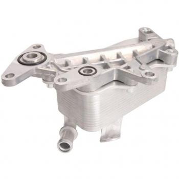 THERMOTEC D4W011TT Sistema de Radiador de Óleo