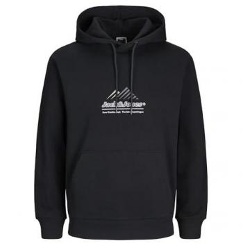 Jack & Jones Sweatshirt mit Kapuze JCOLIMA