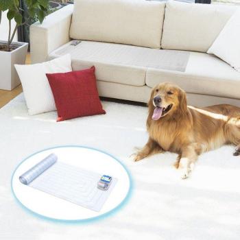 Pet Keep-Away Mat with Wireless Shock and Sound Training (30cm, 42cm, 52cm)