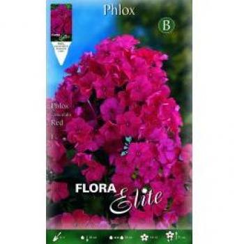 Bulbo Primaverile Phlox Rosso