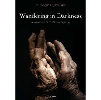 Wandering In Darkness: Narrative And The Problem Of Suffering (Paperback)