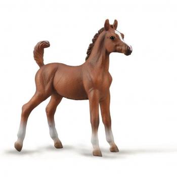 Serie A: Cavallo Più Giovane Arabo Castagna Medium