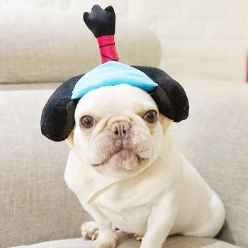 Divertido sombrero de disfraz geisha samurai para perros/gatos