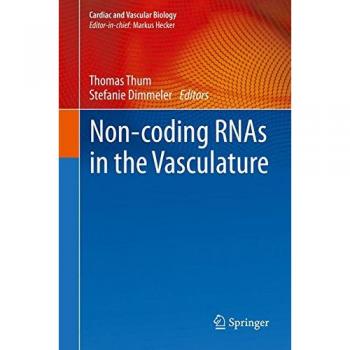 Non-coding RNAs in the Vasculature