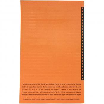 Esselte Orgarex Lateral Suspension File Card Inserts for Lateral Suspension