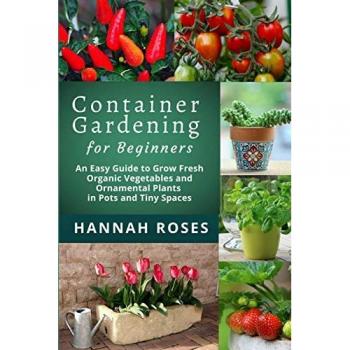 Easy Guide to Container Gardening for Beginners