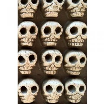 Skull Journal: 160 Page Lined Journal/Notebook: Volume 8 (Skulls Journals)