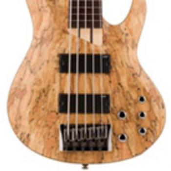 ESP B-205SMFL Natural Finish