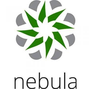 NSG100 Nebula Security Pack – Jahreslizenzen von ZyXEL
