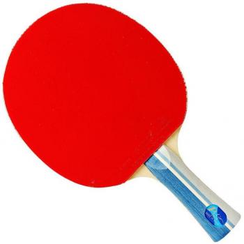 Palio CJ8000 Ping Pong Rubber