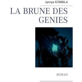 La brune des génies: Roman
