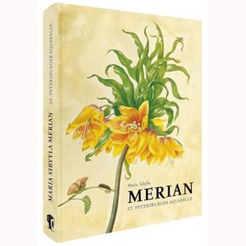 Merian, Maria Sibylla: Maria Sibylla Merian