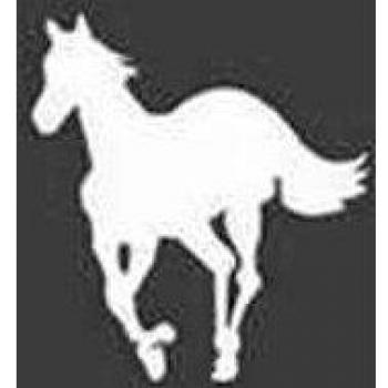 White pony